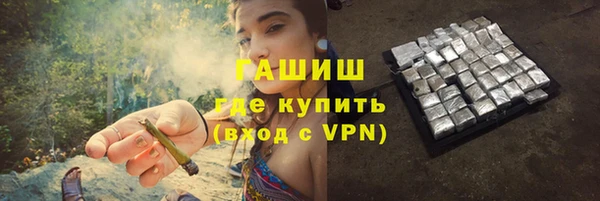 шишки Сосновый Бор