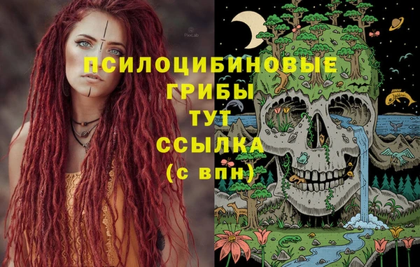 apvp Богданович