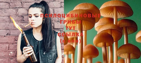 spice Беломорск