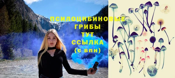 apvp Богданович
