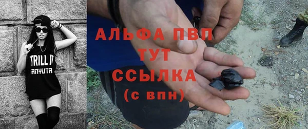 гидра Белокуриха