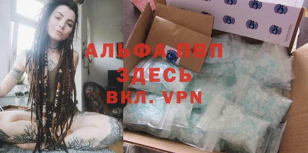 шишки Сосновый Бор