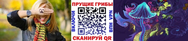 Псилоцибиновые грибы Psilocybe  нарко площадка телеграм  Вичуга  OMG tor 